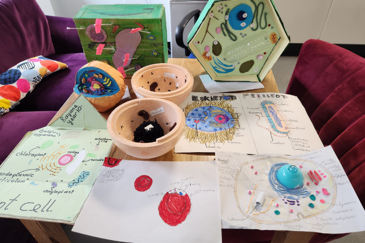 Inter-House Science Competition: Make a Cell Model